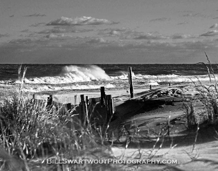 fenwick dunes and waves in blacks and white