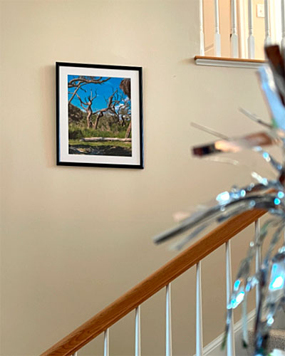 Driftwood Trees Dancing on the Wall