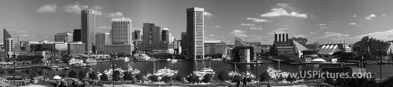 Baltimore Inner Harbor Panorama Black and White