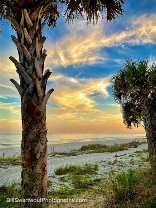 beach at myrtle beach as seen from the boardwalk