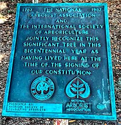 lovers oak informational plaque