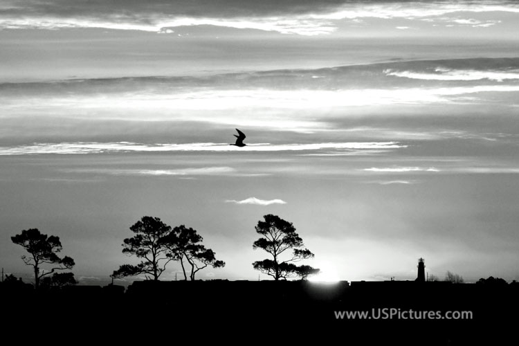 Sunrise Over Fnwick Island DE in Black and White