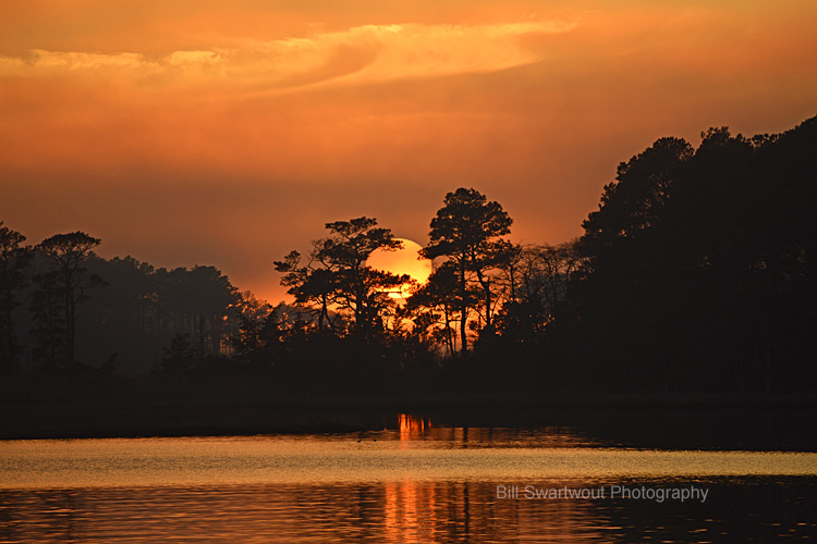 Sun Setting in Trees of Assawoman Bay