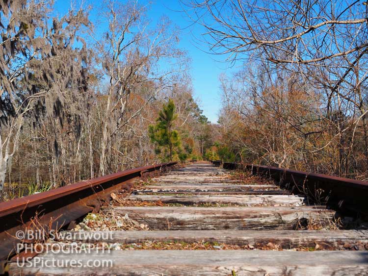 Waccamaw Coast Line Railroad Abandoned Tracks