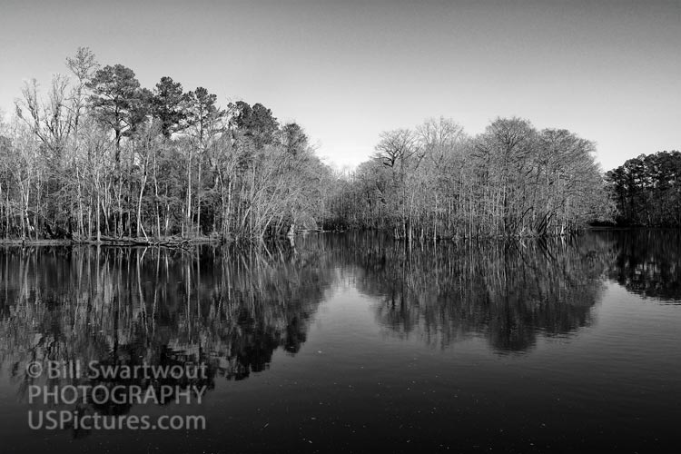 Waccamaw River in Conley South Carolina in Black and White